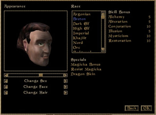 Illustration for article titled How We'll Create The Prettiest Elder Scrolls Characters Ever